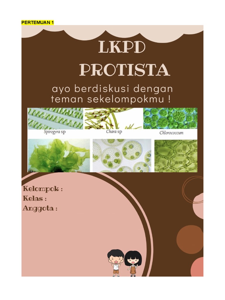 LKPD Protista | PDF | Kesehatan Holistik | Sains & Matematika