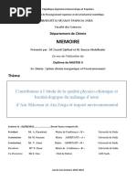 memoire_fin_d_etude