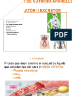 UD4. Prs .Nutrició. Circulatori. Excretor