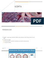 Anatomi Placenta 1