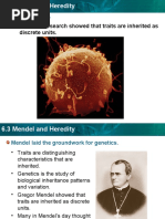 Mendel and Heredity PPT