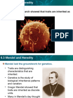 Mendel and Heredity PPT