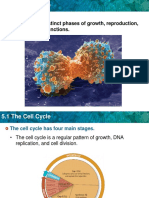 cell_cycle_powerpres
