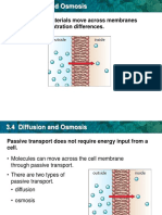 Diffusion and Osmosis Powerpres