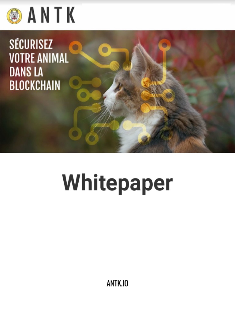 Crypto et Reconnaissance Animale ANTK | PDF | Blanchiment d'argent