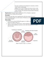 T.S of Blastula Expeeriment