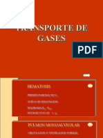 Transportedegases (