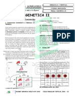 GENETICA (Teoria y Preguntas)