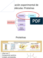 PROTEÍNAS Y ENZIMAS Laboratorio