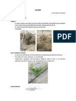 Febrero - INFORME AGROFUTURA 240222