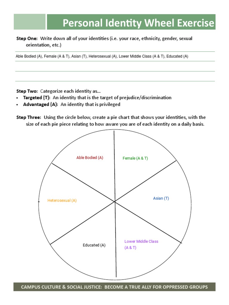 Personal Identity Wheel Exercise Guide | PDF | Gender | Gender Studies