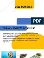 Indexfossilsver 3