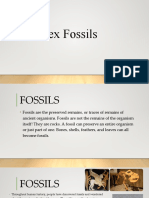 Indexfossils
