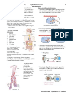 Ação Hormonal No Metabolismo