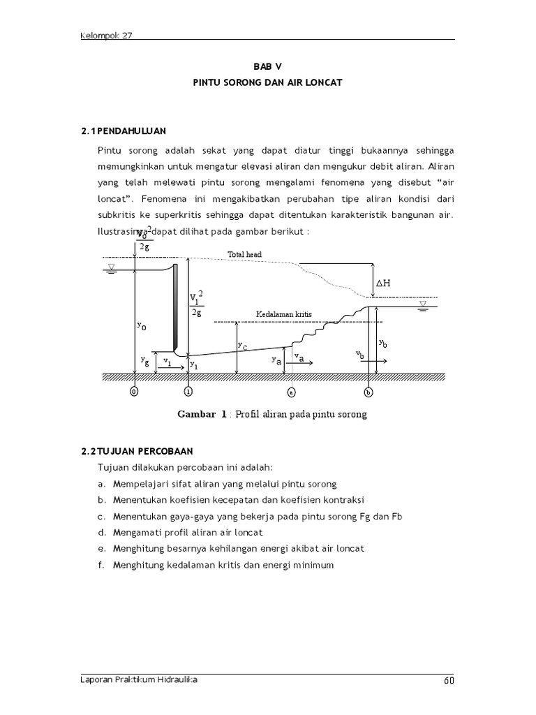 Pintu Sorong dan Fenomena Air Loncat | PDF