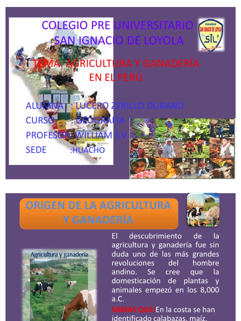 Agricultura Y Ganaderia En El Perú Pdf Fertilizante Carne