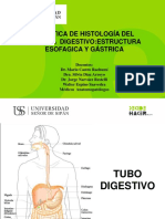 Practica 11 de Histologia