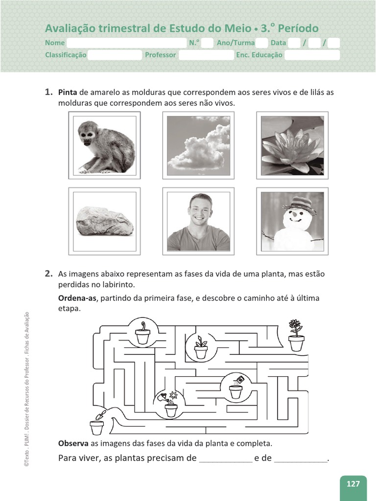 Estudo Do Meio 1 Fichas De Avaliação Plim Download Grátis Pdf