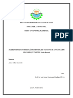 Icuria Dunensis Modelagem