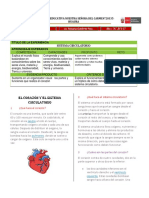 Virtual Actividad Sistema Circulatorio