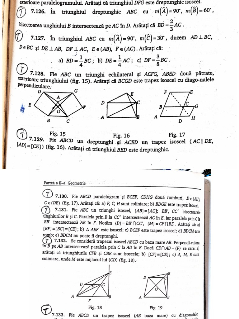 Trapezul | PDF