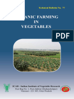 Organic Farming in Vegetables