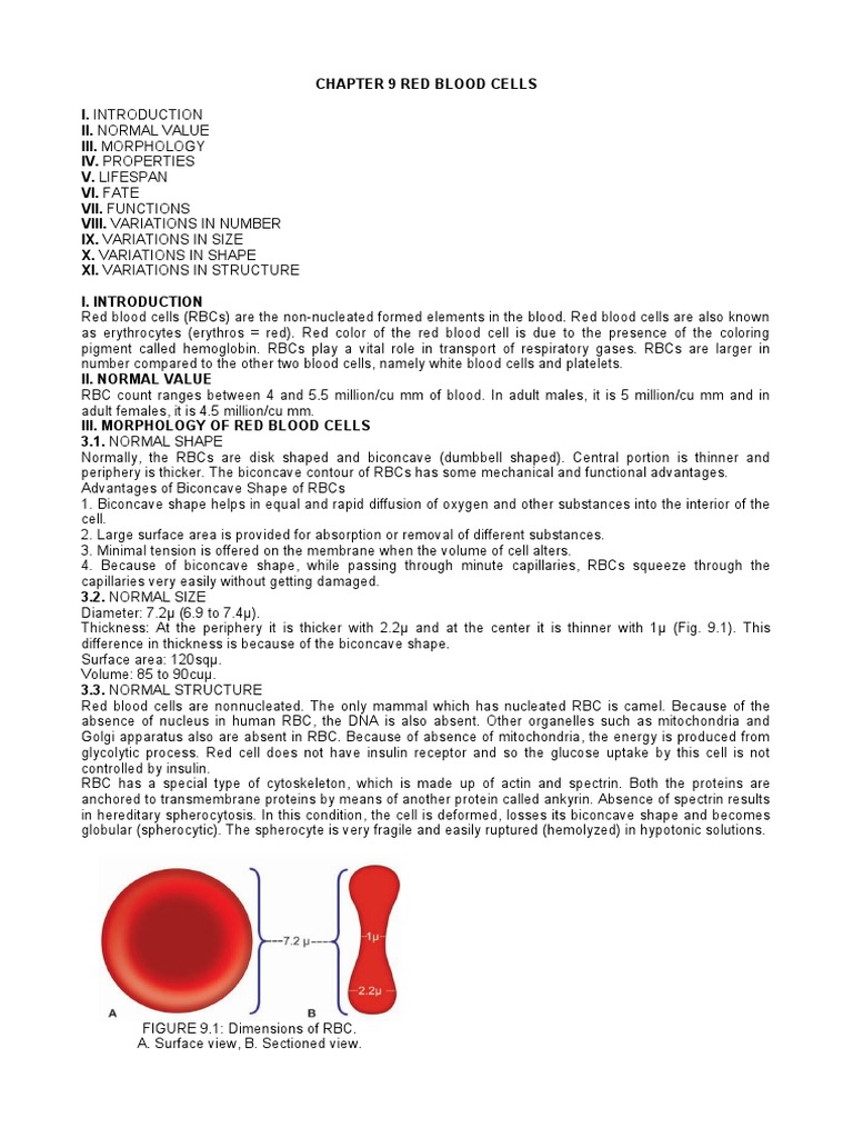 Chapter 9-Red Blood Cells | Download Free PDF | Red Blood Cell | Blood