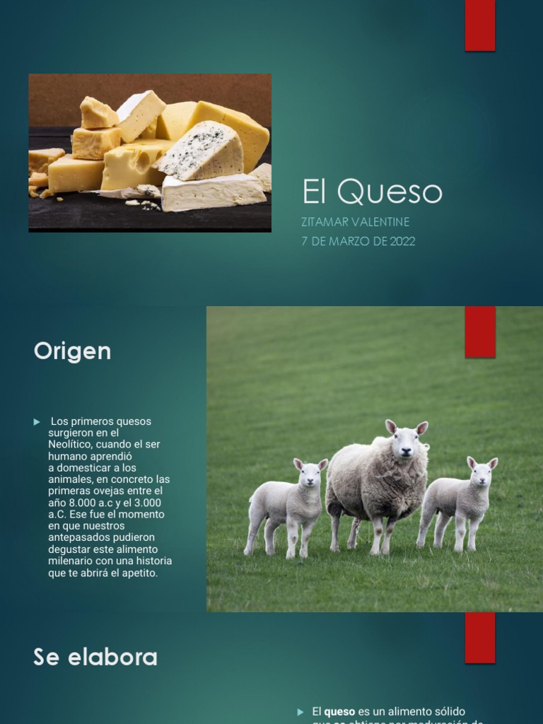 Historia y origen del queso | PDF | Queso | Leche
