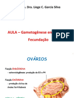 Aula - Gametogenese nas fêmeas(1)