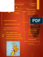 Sobre Las Dictaduras Y Los Movimientos Sociales en Latinoamérica