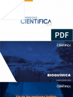 Bioquímica Sem-09 Sesión-25 2022-2