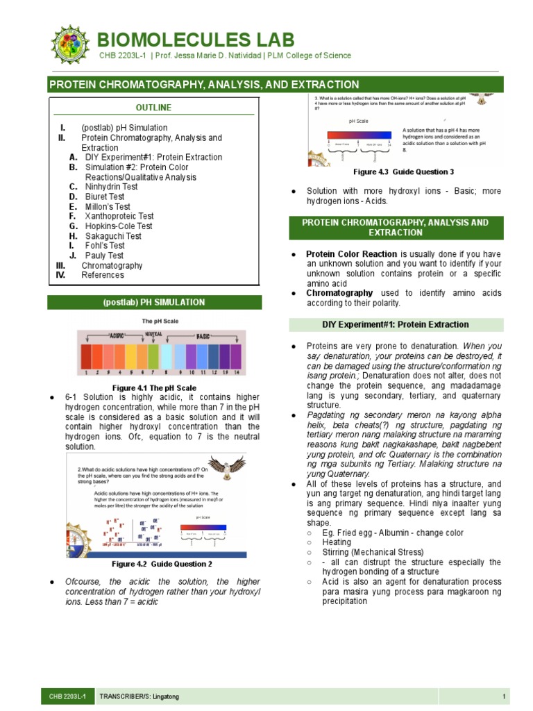 Biochem Lab Protein Chromatography, Analysis, and Extraction PDF