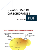 Catabolismo-Carbohidratos I