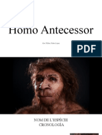 Homo Antecessor
