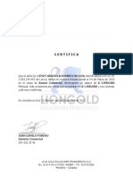 Carta Laboral Lion Lency