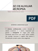 Sistemacardiovascular PDF