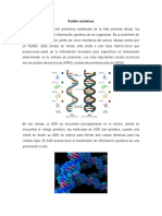 Ácidos Nucleicos