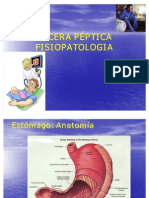 Fisiopatologia Ulcera peptica