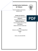 Glosario y Síntesis de Fisiología Renal.