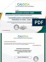 Certificado especialización trinorma ISO 120 horas