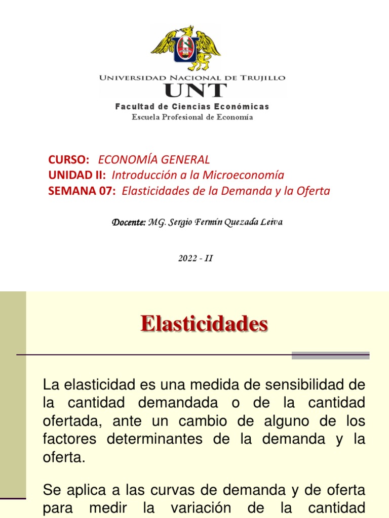 Elasticidades de Demanda y Oferta en Microeconomía | PDF | Elasticidad ...