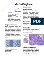 Cópia de Tecido Cartilaginoso PDF