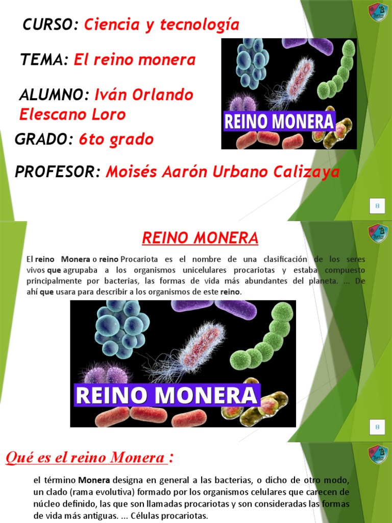 El Reino Monera | PDF | Biología Celular) | Organismos