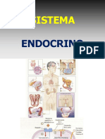 Sistema Endocrino (Completo)