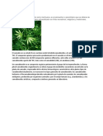 Composición de La Marihuana, Metanfetamina, y Nicotina