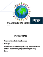 Transkultural Nursing
