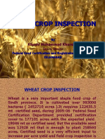 Wheat Crop Inspection