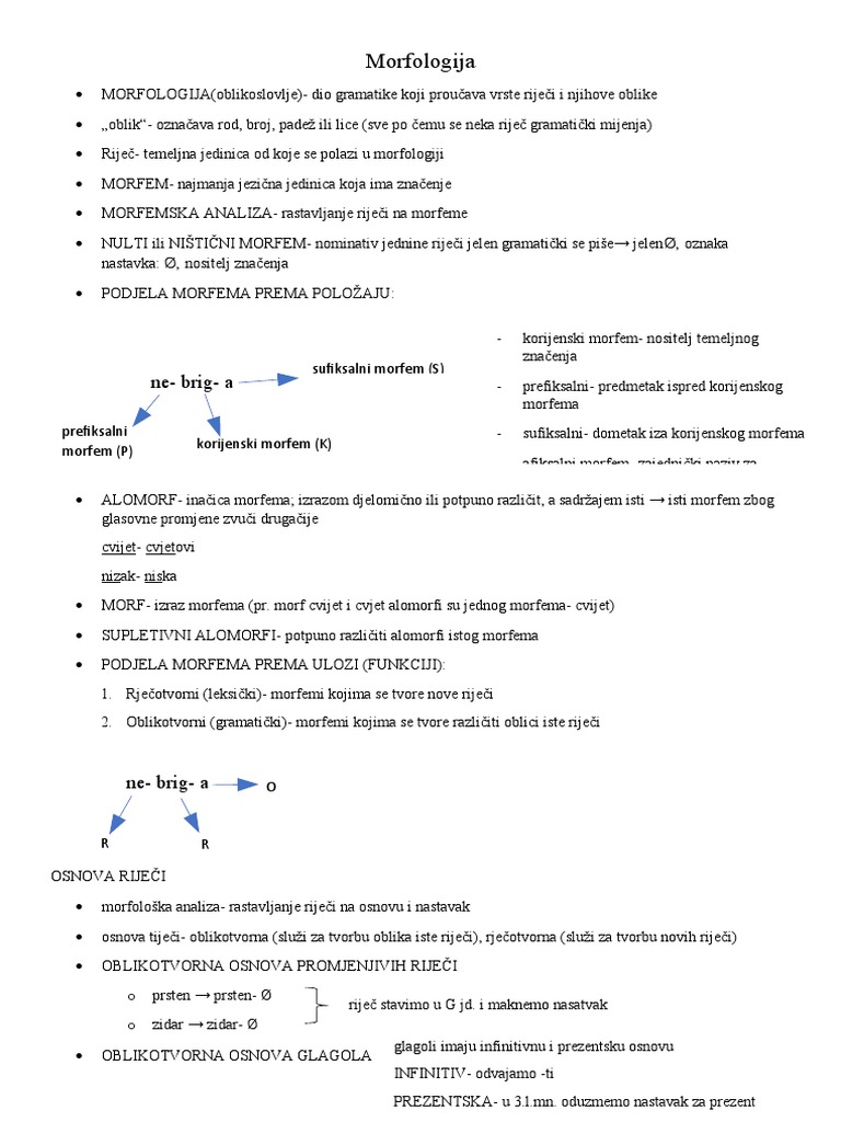 Morfologija | PDF