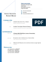 Plantilla Curriculum Vitae 8