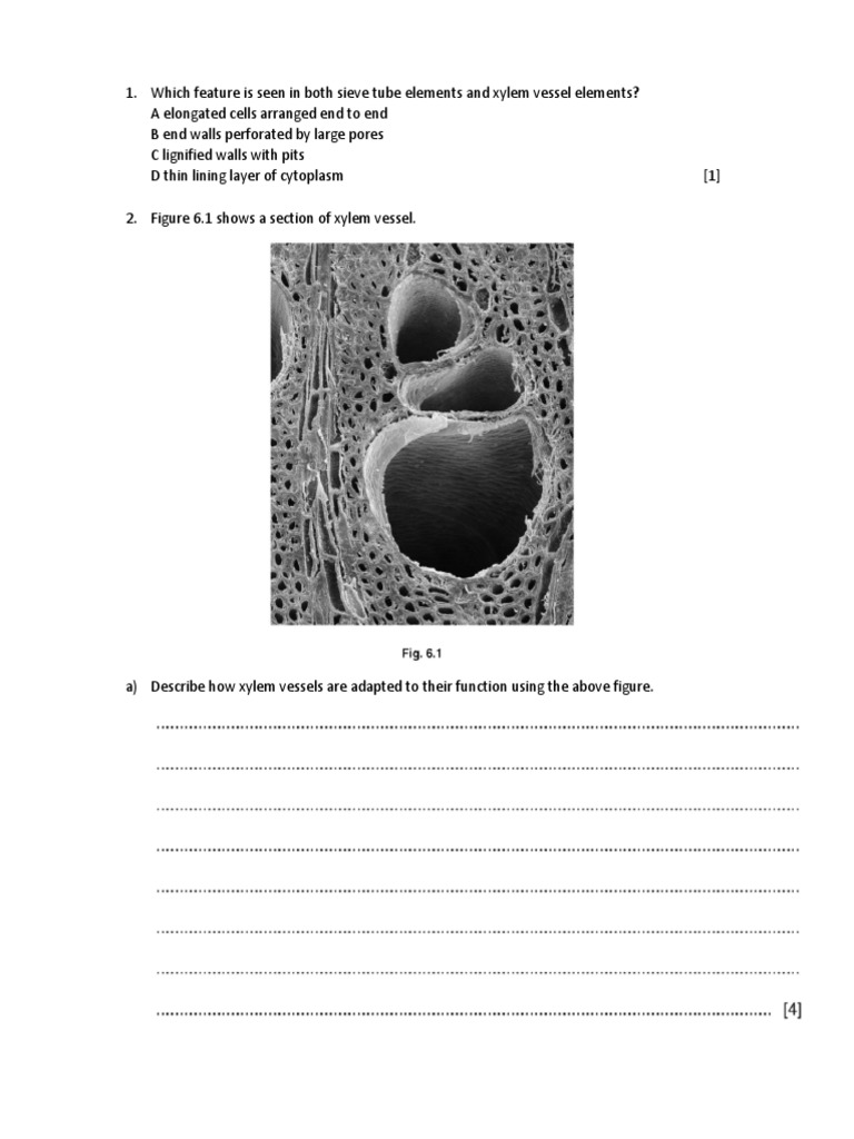 Biology Test PDF